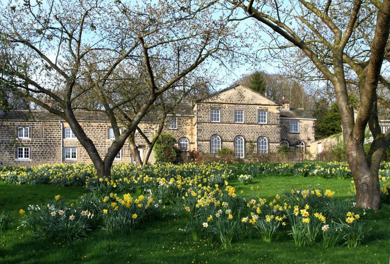 Harewood Estate Cottages Exterior foto