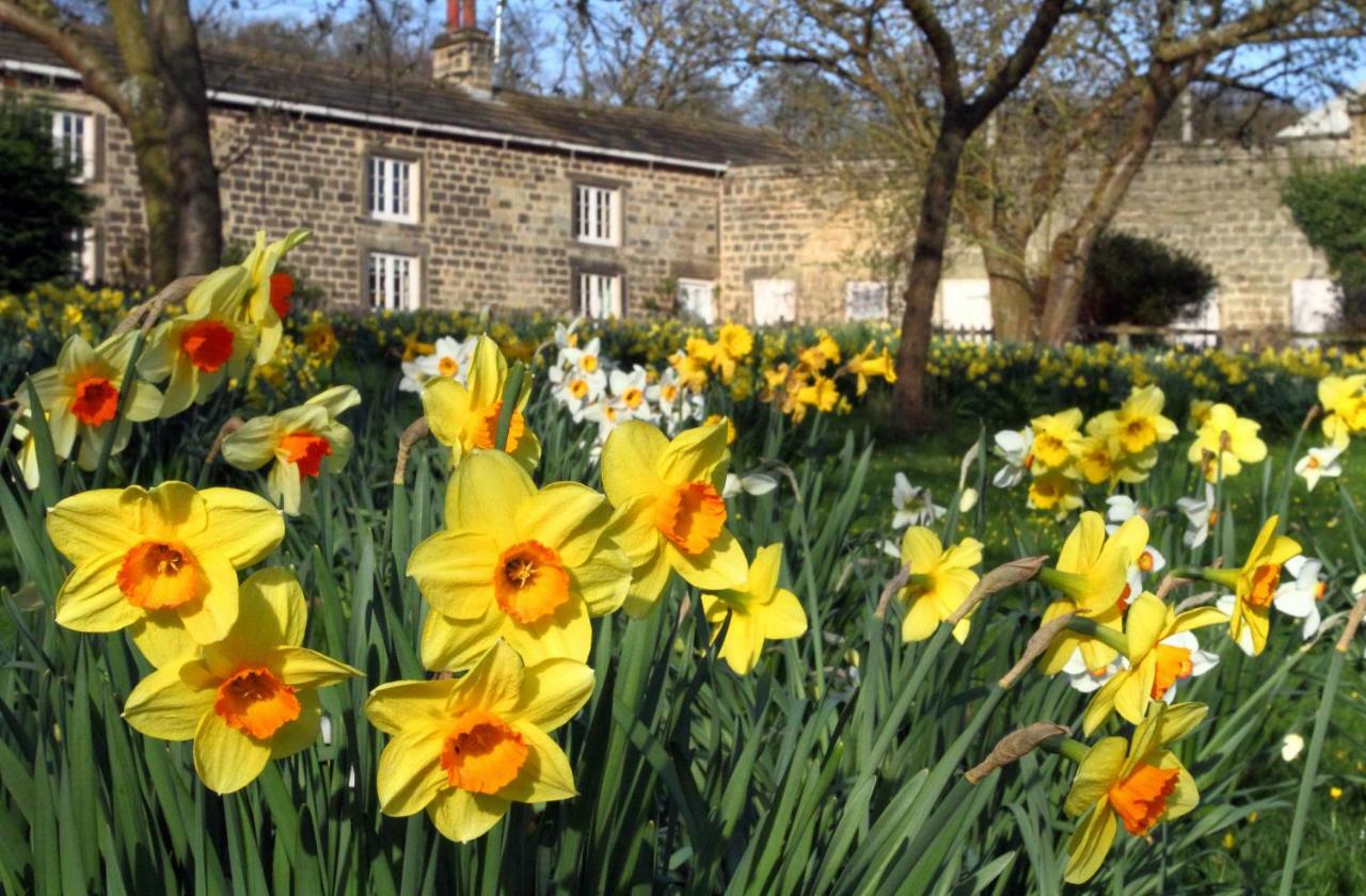 Harewood Estate Cottages Exterior foto